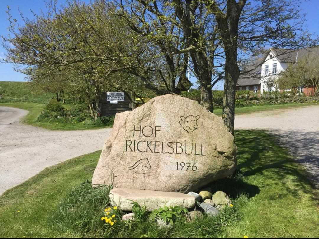 Hof Rickelsbuell - Nordseeurlaub Auf Dem Biobauernhof Rodenas Экстерьер фото