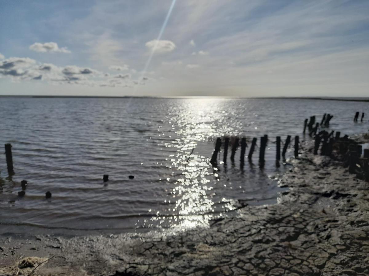 Hof Rickelsbuell - Nordseeurlaub Auf Dem Biobauernhof Rodenas Экстерьер фото